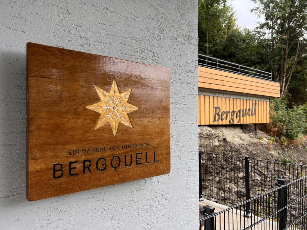 Haus Bergquell App 2 Apartment Willingen  Exterior foto